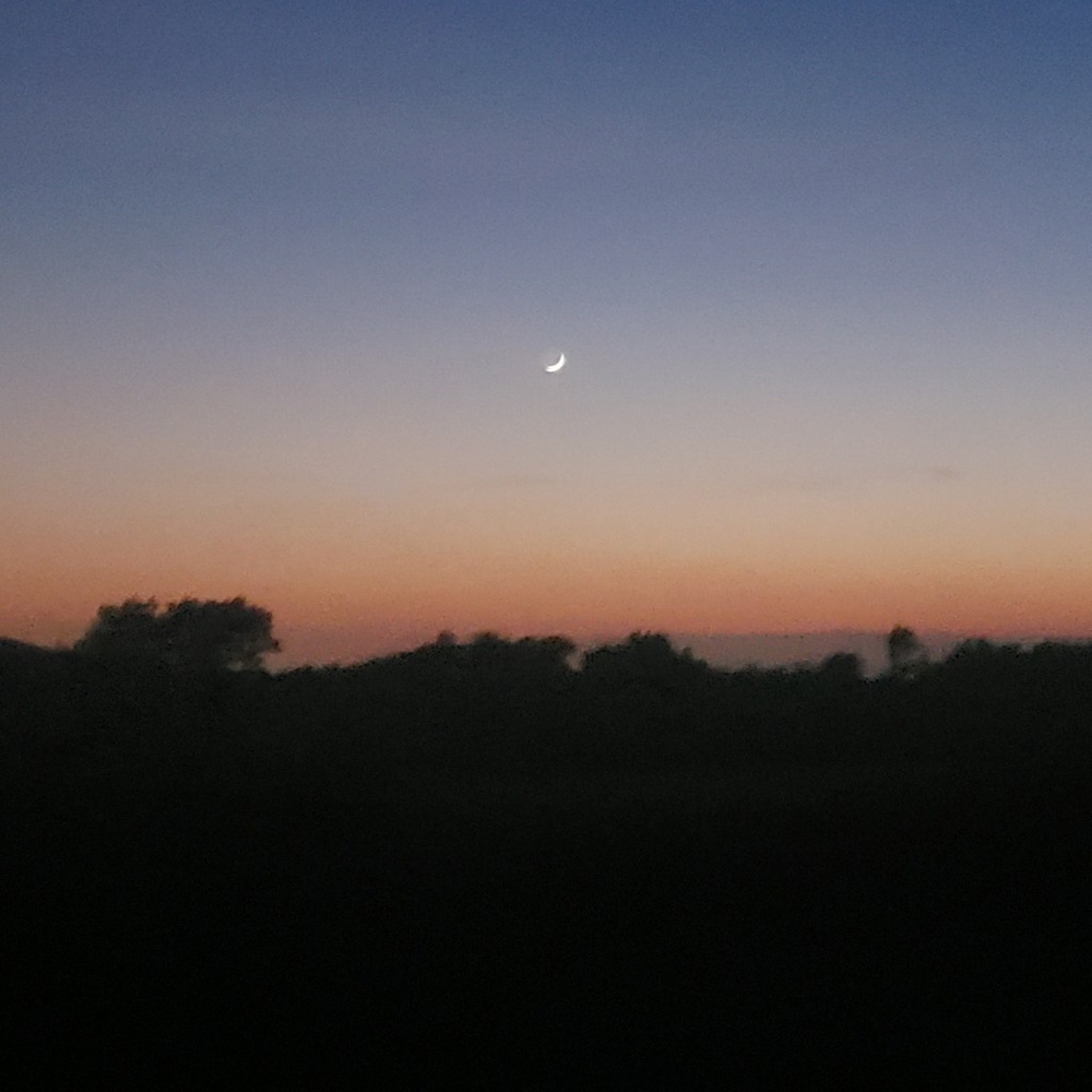 Meet your Posher, Gavin